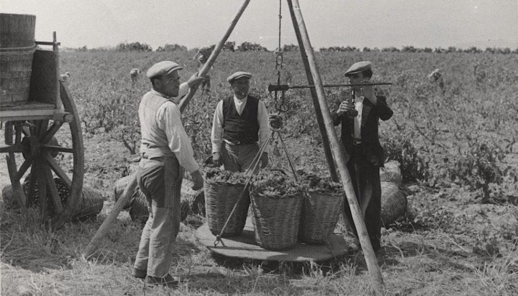 Messina: terra di conquista di imprenditori stranieri?